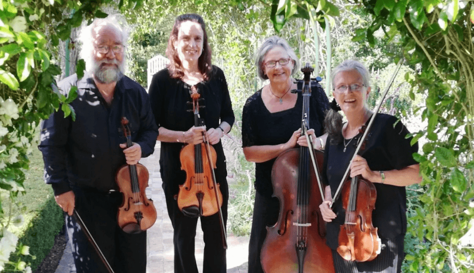 String quartet sitting at playing music
