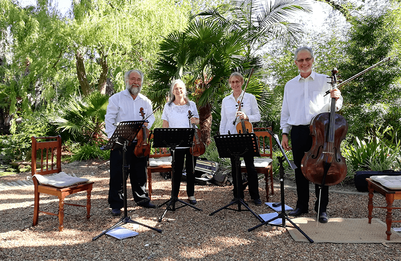 String quartet sitting at playing music