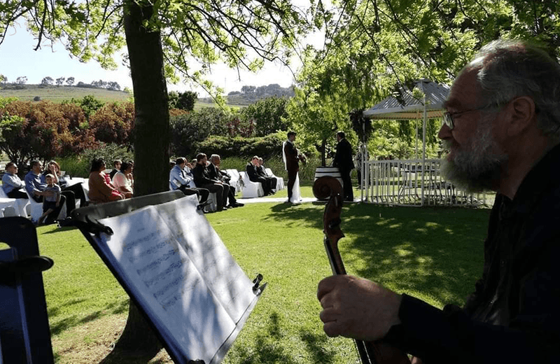 String quartet sitting at playing music
