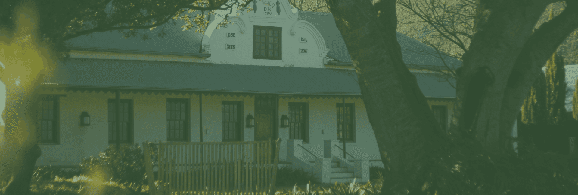 old house under tree