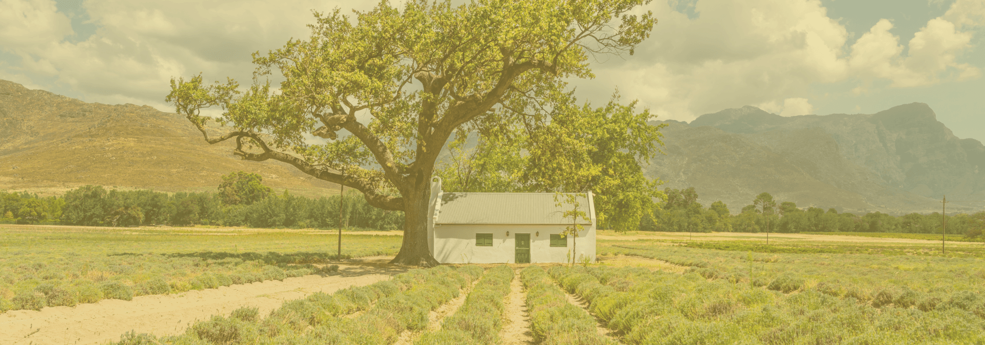 house on a hill
